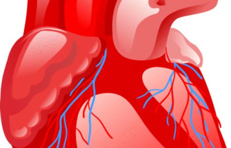 המלצות לעיון של ד"ר פינק : נייר עמדה על Post-Cardiotomy Extracorporeal ועדכונים חשובים על מאפייני מסתם חיוניים לבחירת טיפול ניתוחי אופטימלי